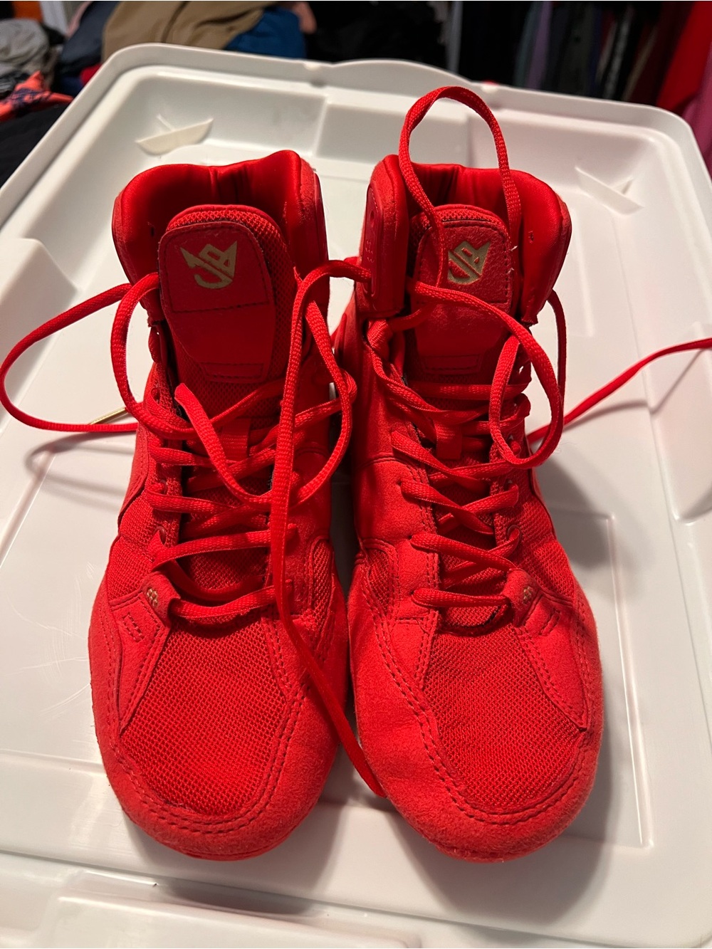 Men’s Wrestling Shoes